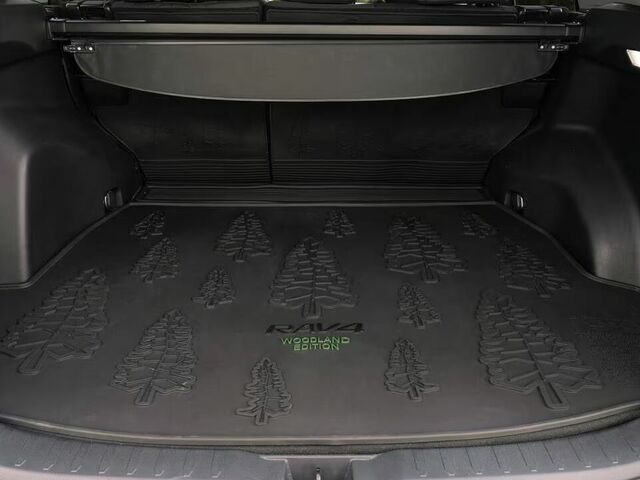 Toyota RAV4 2025 багажник Вантажний простір Toyota RAV4 2025