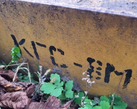 Точмаш Другая, объемом двигателя 0 л и пробегом 0 тыс. км за 1294 $, фото 5 на Automoto.ua