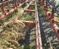 ВК Технополь БГ, об'ємом двигуна 0 л та пробігом 0 тис. км за 3519 $, фото 12 на Automoto.ua