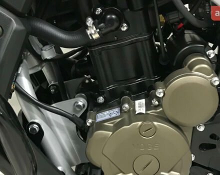 купить новое авто Voge 300 Rally 2024 года от официального дилера MotoHub Voge фото