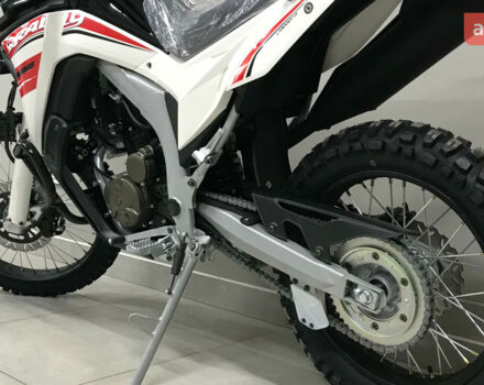 купить новое авто Voge 300 Rally 2024 года от официального дилера MotoHub Voge фото
