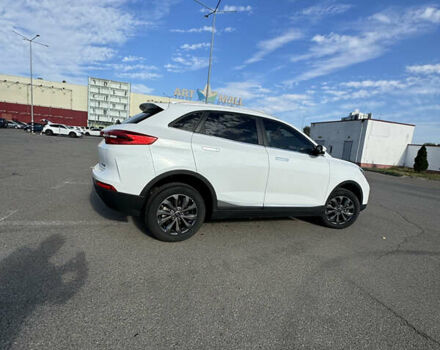 Белый Weltmeister EX5, объемом двигателя 0 л и пробегом 6 тыс. км за 19500 $, фото 7 на Automoto.ua