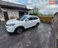 Білий Weltmeister EX5, об'ємом двигуна 0 л та пробігом 90 тис. км за 16700 $, фото 1 на Automoto.ua
