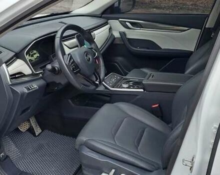 Білий Weltmeister EX5-Z, об'ємом двигуна 0 л та пробігом 48 тис. км за 22000 $, фото 9 на Automoto.ua