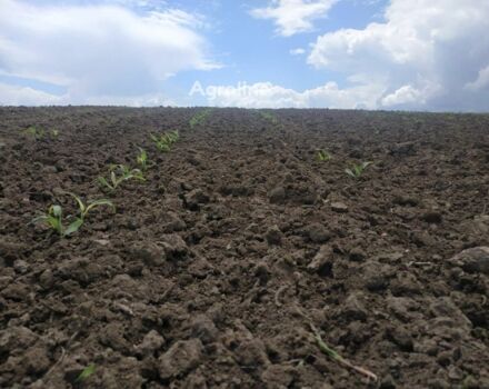 Черный Yetter 3530, объемом двигателя 0 л и пробегом 0 тыс. км за 21011 $, фото 4 на Automoto.ua