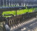 Черный Yetter 3530, объемом двигателя 0 л и пробегом 0 тыс. км за 13000 $, фото 5 на Automoto.ua