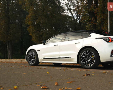 Белый Zeekr 001, объемом двигателя 0 л и пробегом 13 тыс. км за 45000 $, фото 21 на Automoto.ua