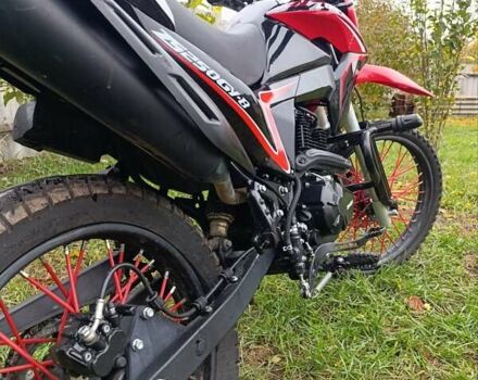 Червоний Zonsen ZS250GY-8, об'ємом двигуна 0 л та пробігом 9 тис. км за 1350 $, фото 5 на Automoto.ua