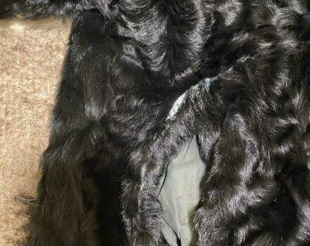 Zuumav Другая, объемом двигателя 0 л и пробегом 0 тыс. км за 10 $, фото 5 на Automoto.ua