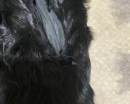 Zuumav Другая, объемом двигателя 0 л и пробегом 0 тыс. км за 10 $, фото 6 на Automoto.ua